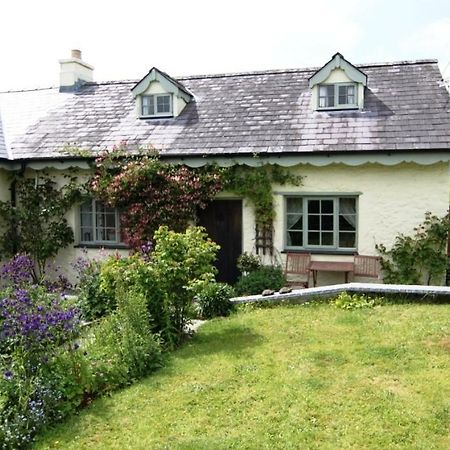 Parc Y Brenin Willa Dryslwyn Zewnętrze zdjęcie