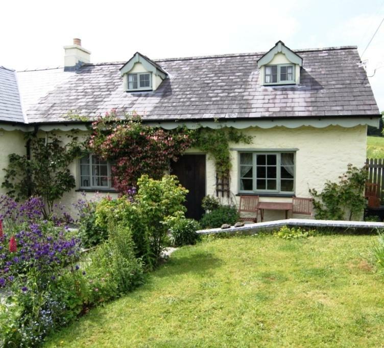 Parc Y Brenin Willa Dryslwyn Zewnętrze zdjęcie